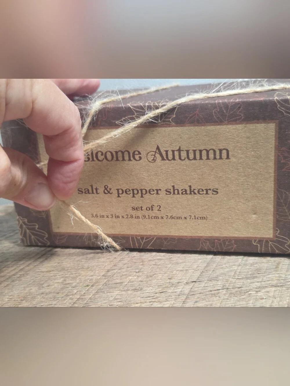 NWT Welcome Autumn Ceramic Salt & Pepper Shaker Set ~ Leaf Gift Tag ~ Bin 1D